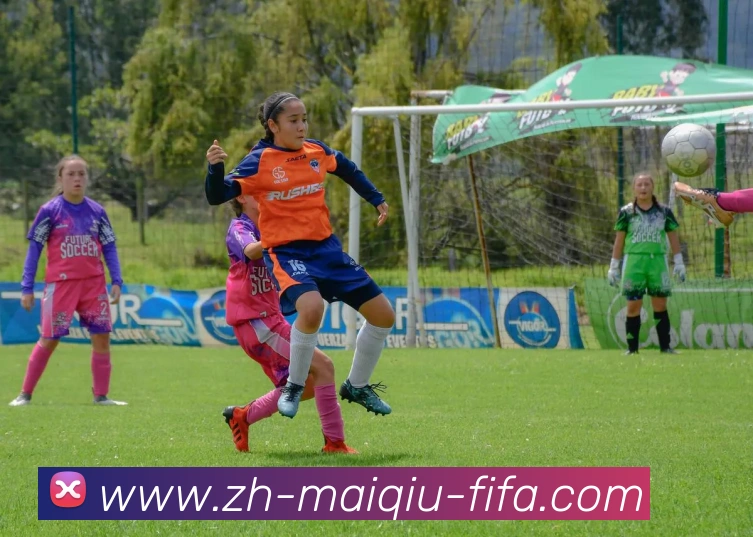 世界杯买球网品牌故事