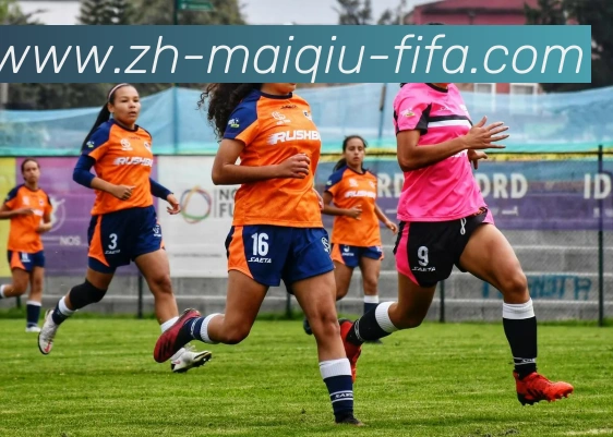 世界杯买球网服务体系